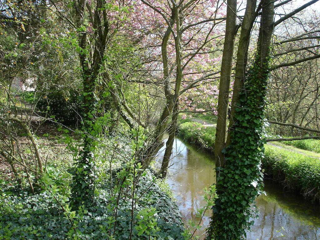 Les Vallees Du Guyoult Dol-de-Bretagne Kültér fotó